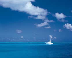 Boot Trip, Bootsausflug nach Sanibel